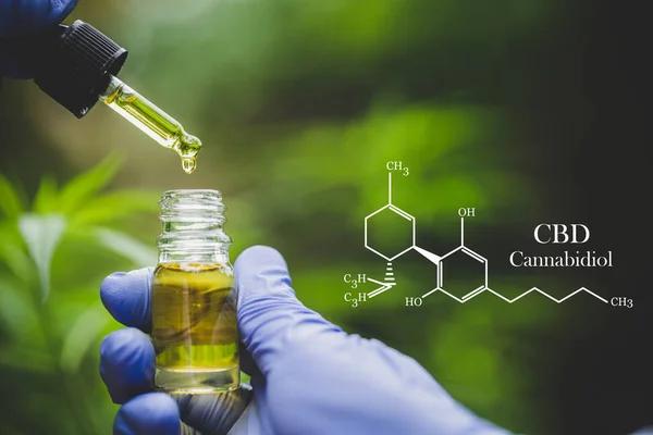 CBD Product Batches and Their Role in Quality Assurance