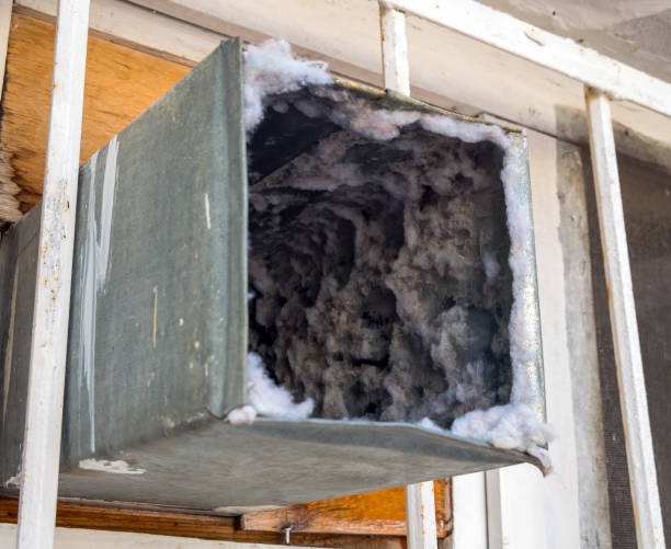 Searching for HVAC Contractors Near Me for Quality AC Repair and Maintenance